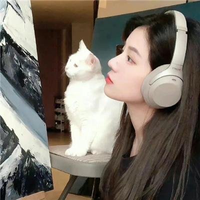 圣经故事