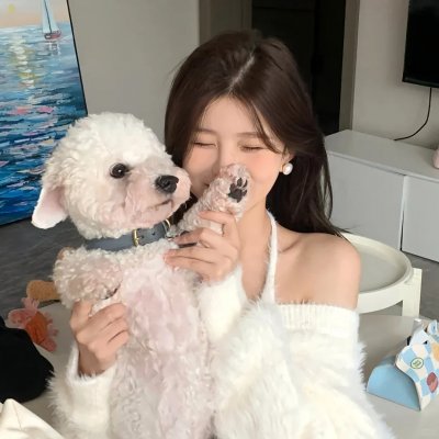 公猫